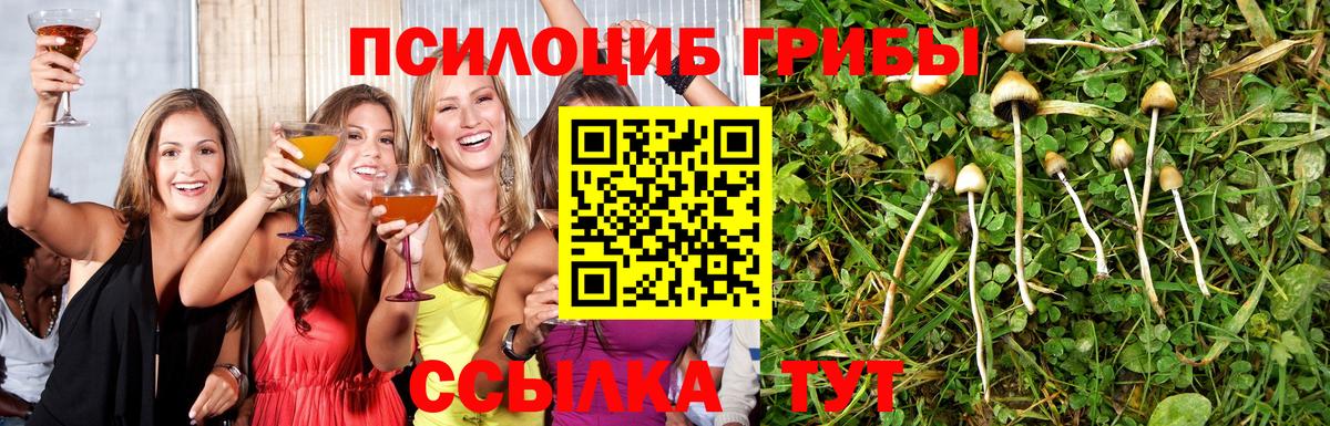 Псилоцибиновые грибы GOLDEN TEACHER Орёл