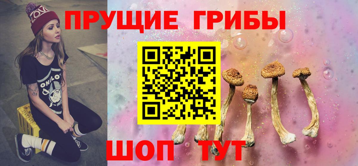 Псилоцибиновые грибы Magic Shrooms  дарнет шоп  Орёл  Вход с VPN 
